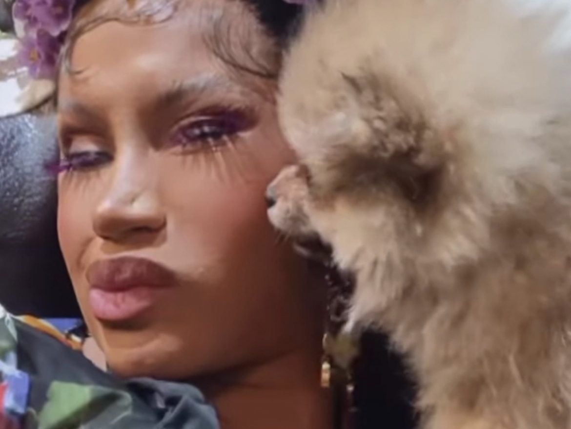 Cardi B Turns Into A Flower + Feeds Her Pup Chicken Nugget – SOHH.com