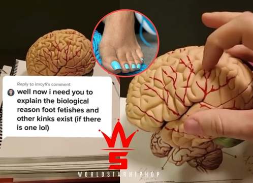 Why Some Of Y’all Have A Foot Fetish… Breaking It Down Using Real Science!