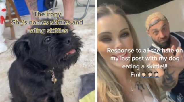 Is that Even Safe? Couple Gets Backlash After Feeding Their Dog Names Skittles Skittles!