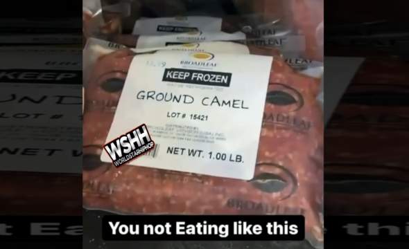 Dude Says No One Out Here Eating Exotic Meat Like Him "When I Cook I Cook Some Exotic"