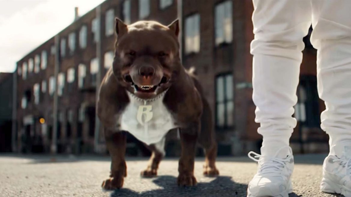 DMX’s Last Recorded Verse Surfaces, Rapper Chris Webby Honors His Legacy In New Video – SOHH.com