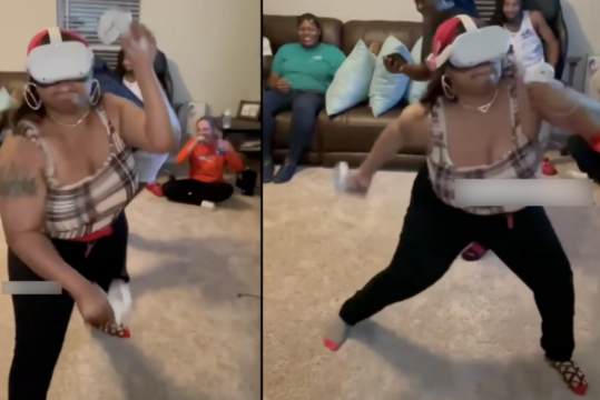 Chick Playing VR Game Got Hands!