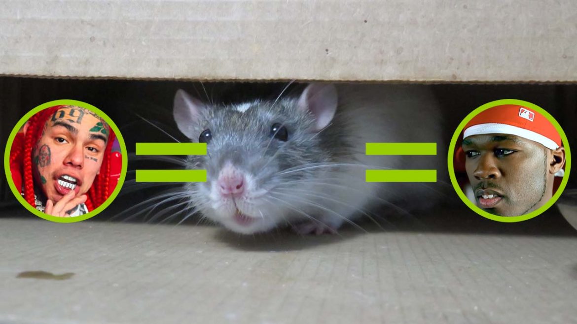 Benzino Says 50 Cent Is ‘The First 6ix9ine” On Podcast Benzino Says 50 Cent Is ‘The First 6ix9ine” On Podcast