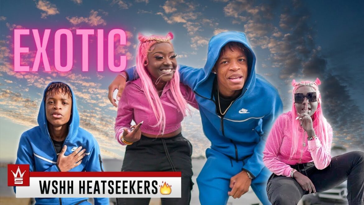 VISION Feat. T MaddZ – Exotic [WSHH Heatseekers Submitted]
