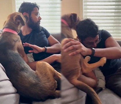 Nah… Something Ain’t Right With All That: Why The Dog Acting Like He Already Know What Time It Is?!