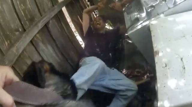 K-9 Chews On The Leg Of A Murder Suspect!