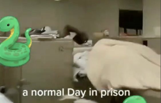 It’s No Wonder Some Cats Don’t Mind Prison When They Got It Like This!