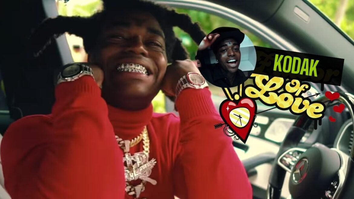 Why Kodak Black Would Be Perfect For A “Flavor Of Love” Spin-Off