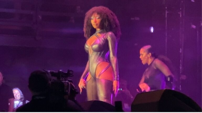 Megan Thee Stallion Fan Released On K Bond