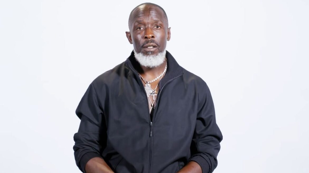 Michael K. Williams’ Drug Dealer Gets 10-Year Prison Sentence