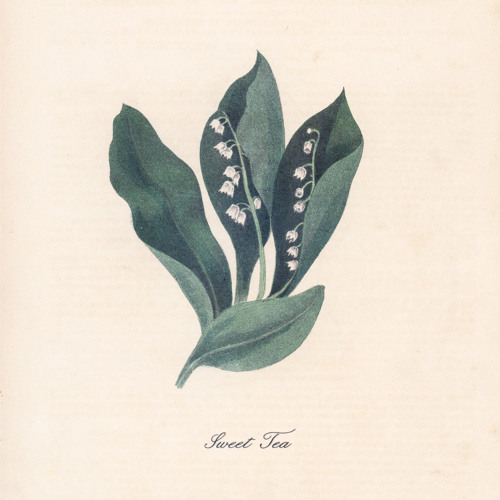 Snoh Aalegra Drops “Sweet Tea” Single