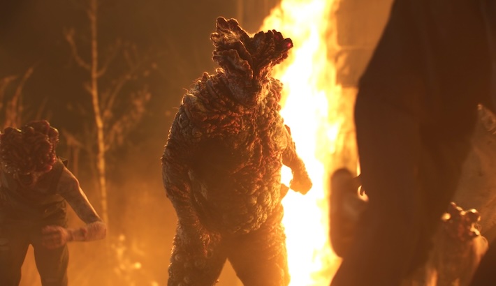 Your Friends & Neighbors And More